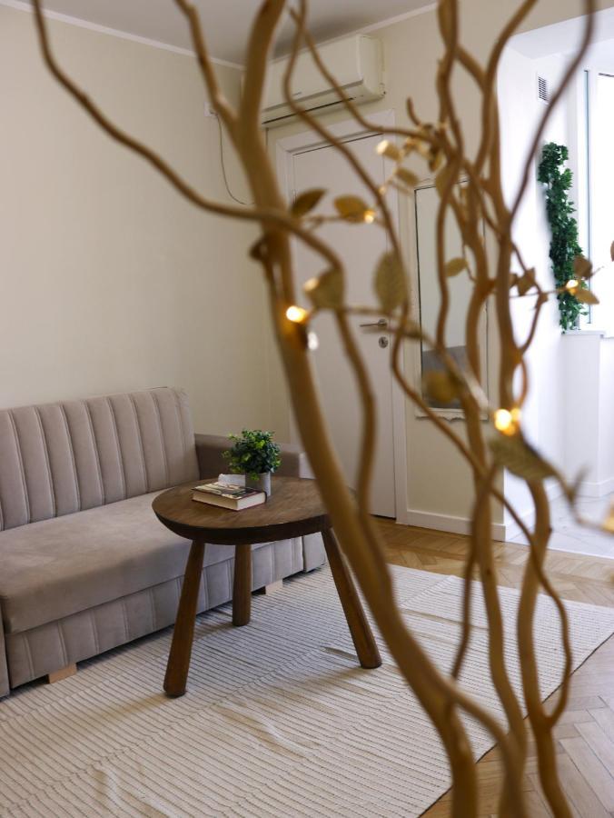 Mina City Center Apartment Amzei Bukarest Kültér fotó